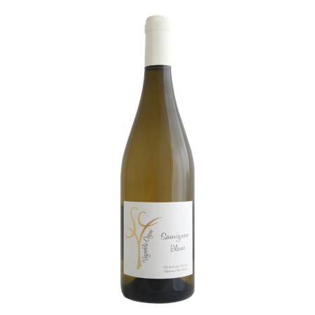 VDP DU VAL DE LOIRE VIGNOBLE COGNE Sauvignon