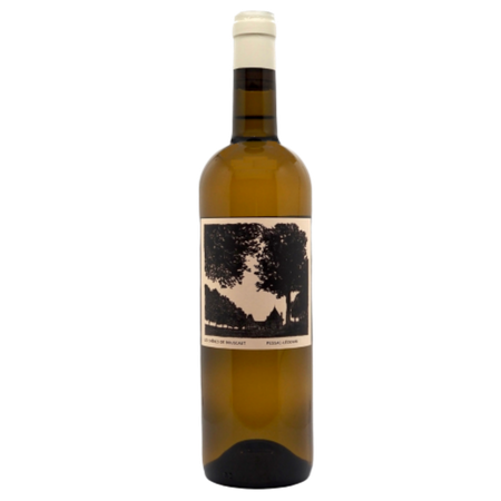 Pessac-Léognan - Château Bouscaut - Les Chênes de Bouscaut