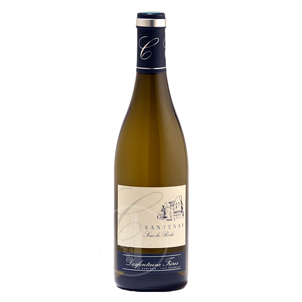 Santenay - Sous la Roche - Château de Chamilly