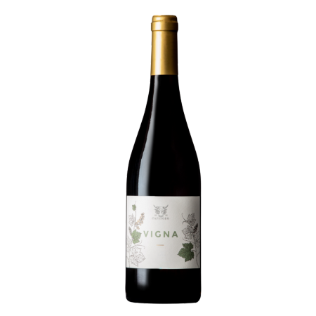 Clos Capitoro - Vigna