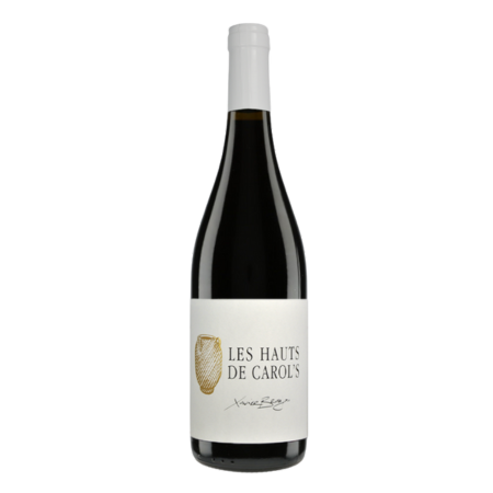 Pays de L'Hérault - La Terrasse d'Elise - Les Hauts de Carol's 2022