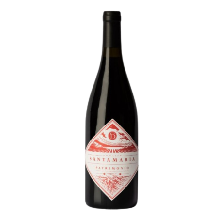 Patrimonio - Domaine Santamaria
