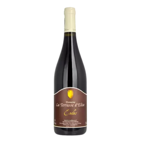 Pays de l'Hérault - La Terrasse d'Elise - Enclos 2023