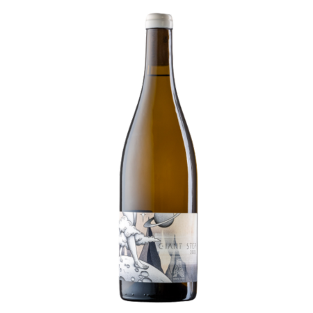 VIN DE SAVOIE BLANC LUDOVIC ARCHER Giant Step 2023 FR BIO 01