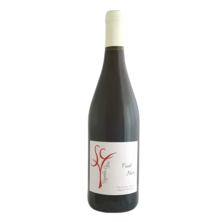 Vignoble Cogné - Pinot noir
