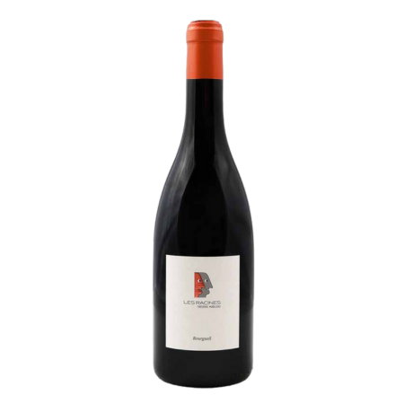 Bourgueil - Domaine Mabileau - Les Racines