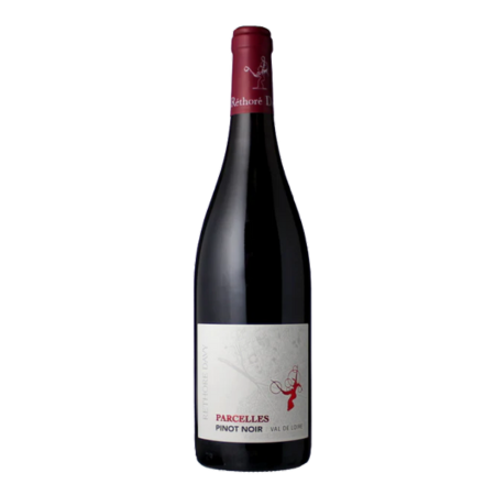 Val de Loire - Vignoble Réthoré Davy - Le chapitre Pinot Noir