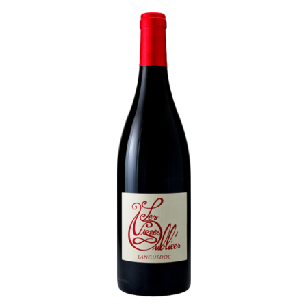 Languedoc - Les Vignes Oubliées
