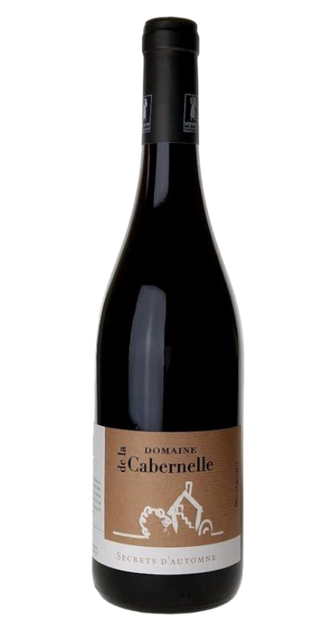 Bourgueil - Secret d'Automne - Domaine de la Cabernelle