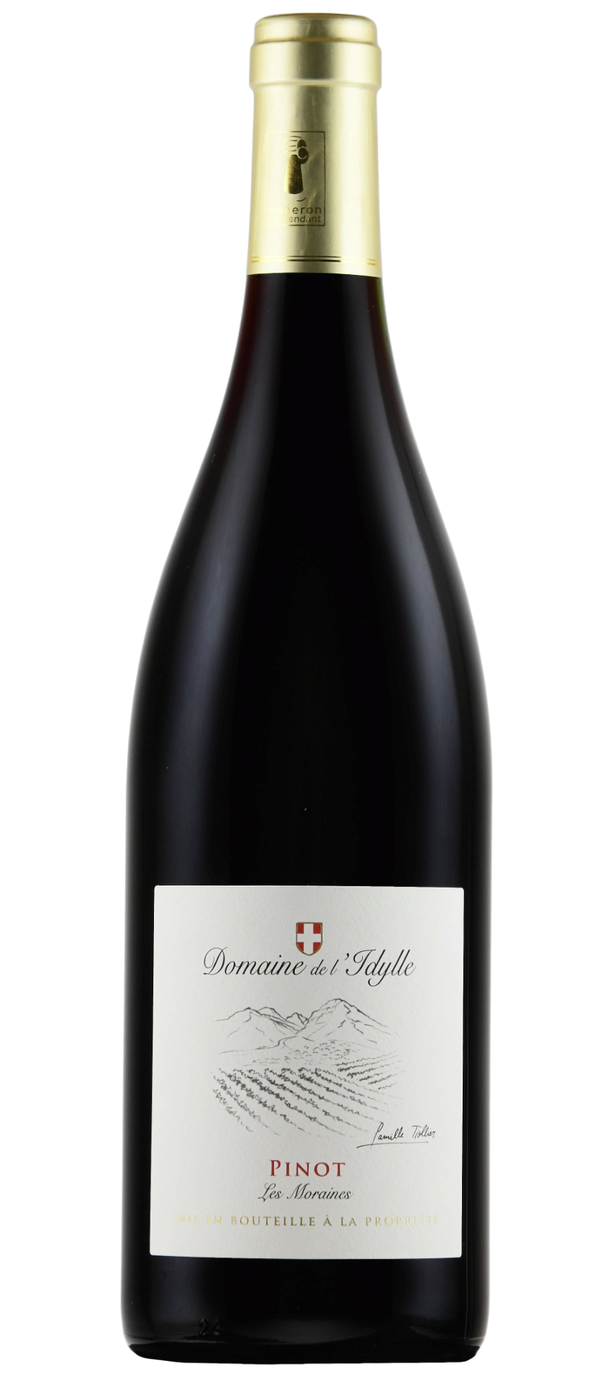 Pinot noir - Les Moraines - Domaine de l'Idylle