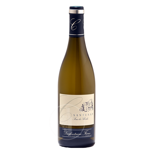 Santenay - Sous la Roche - Château de Chamilly