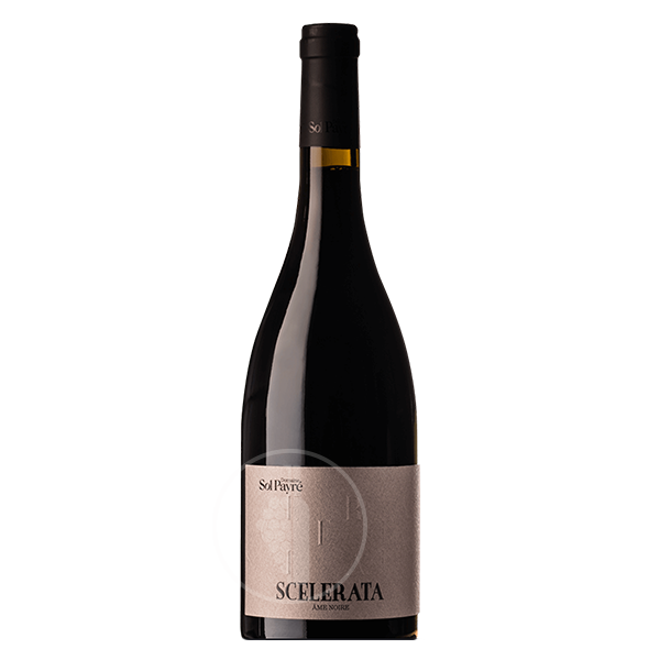 Côtes du Roussillon Villages Les Aspres - Sol Payré - Scelerata